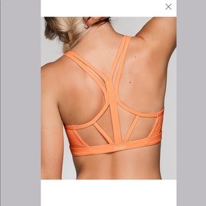 🧡 Wild Orange Texas Sports Bra 🧡